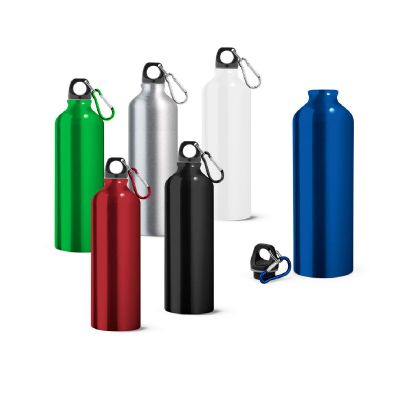 LANDSCAPE L - Aluminium sports bottle with carabiner 800 mL