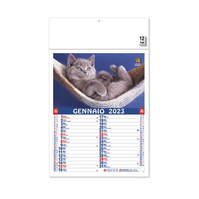 PET - wall calendar cats & dogs