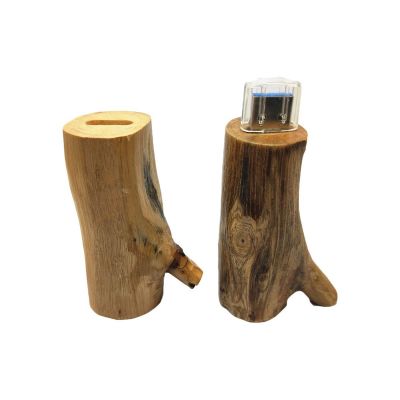 TWIG - Twig USB stick