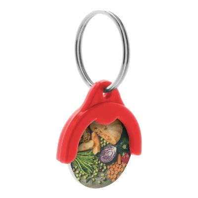TOKEN - trolley coin keyring
