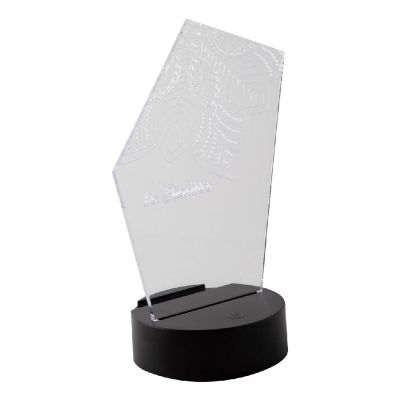 LEDIFY - LED light trophy