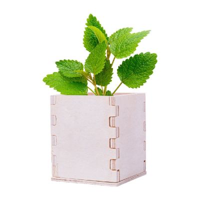 MERIN - mint herb pot