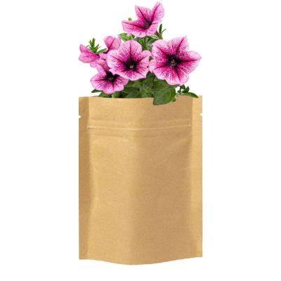 SOBER - flower planting kit