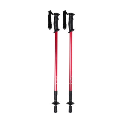 PULPIT - nordic walking sticks