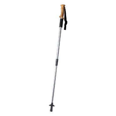 CATERPIL - nordic walking stick