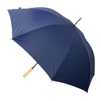 ASPERIT - RPET umbrella