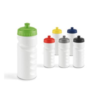 LOWRY - 530 mL HDPE sports bottle