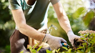 Personalised Gardening products